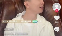 热点爆料樊小慧视频播放,揭秘背后故事与影响