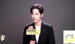 肖战采访爆料视频完整版,揭秘成名背后的心路历程与成长故事